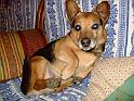 080217 fabiano